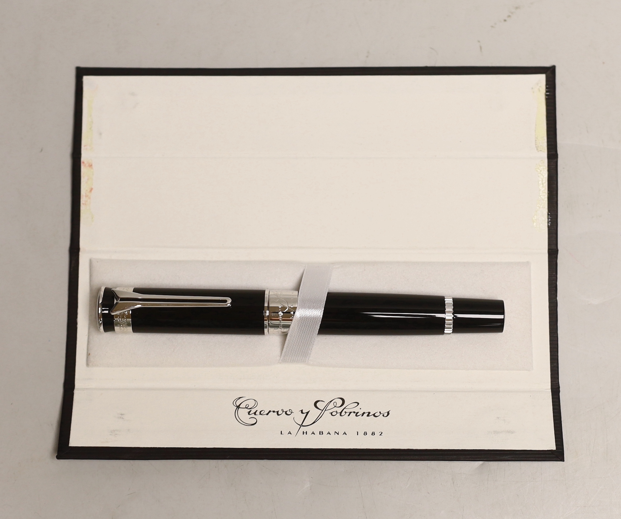 A Cuervo y Sobrinas fountain pen